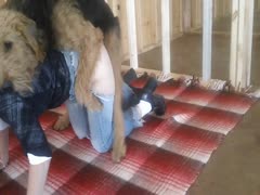 A muscular K9 fucks a gorgeous housewife, going deep and hard.